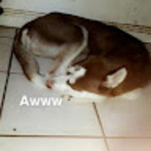 Meet your Posher, Gerda